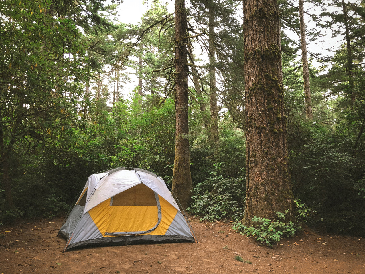 A small tent in a forest 
